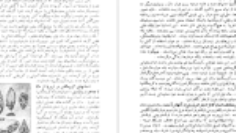 کتاب سرگذشت تمدن کارل بکر PDF