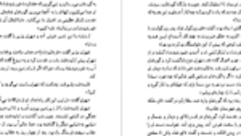 کتاب سمک عیار ۲ فرامرز بن خداداد PDF